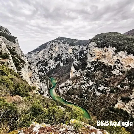 Couette-café Aquilegia Acqualagna