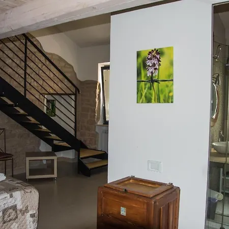 Aquilegia 3* 악콸라냐