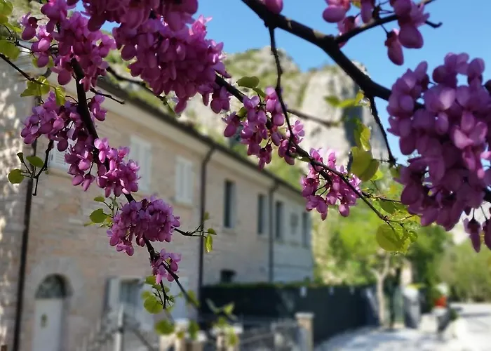 Aquilegia Bed and breakfast Acqualagna