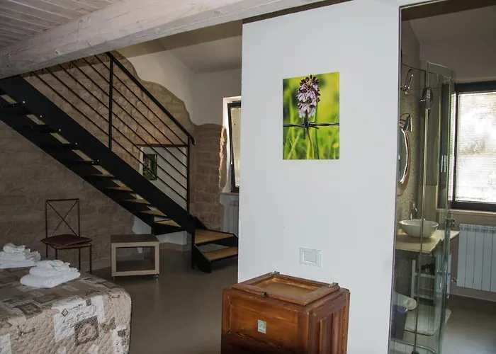 Aquilegia 3* 악콸라냐